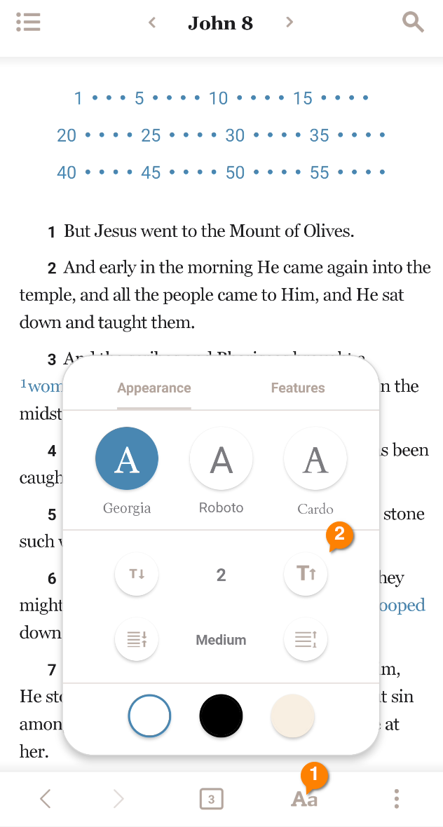 Font Size Adjustment